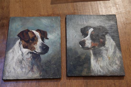 John Emms (1843-1912) Head studies of terriers 9 x 7in., unframed